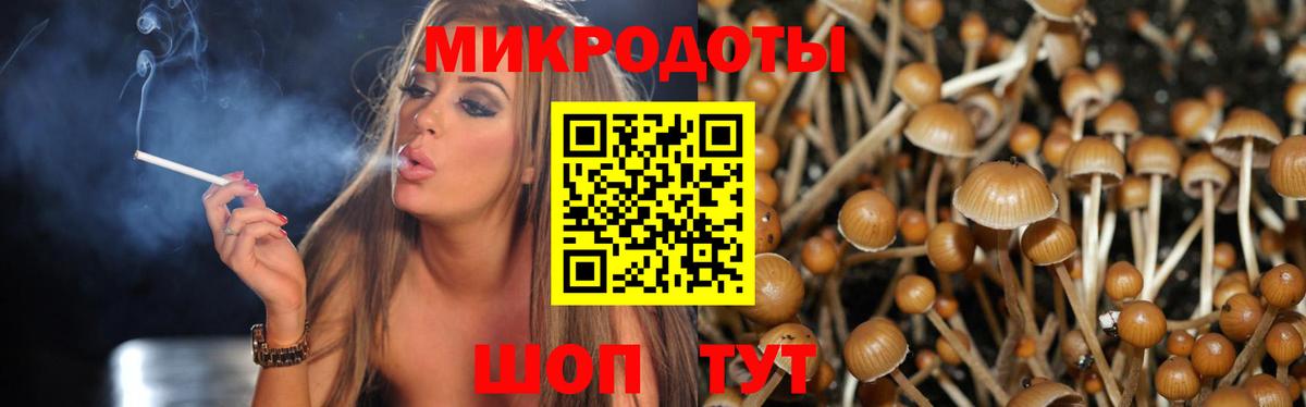 Заводоуковск  Галлюциногенные грибы мицелий  Вход с VPN 